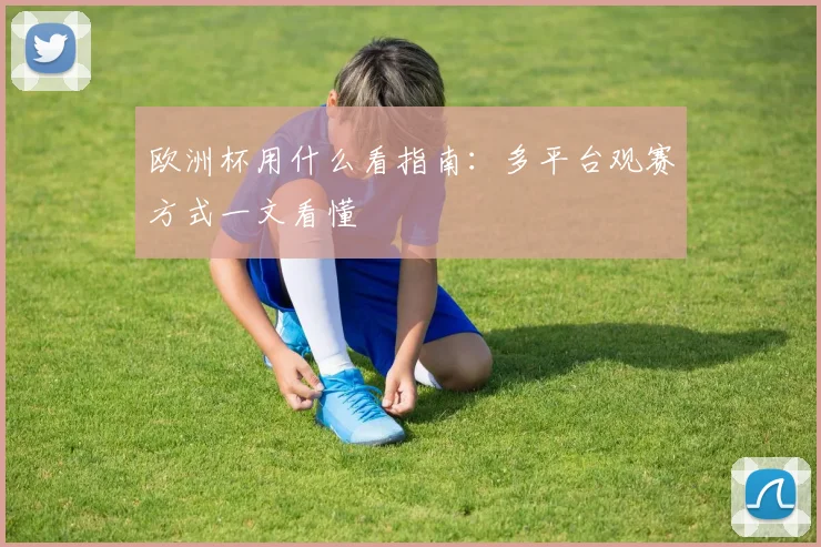 欧洲杯用什么看指南:多平台观赛方式一文看懂